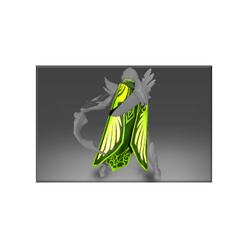 Frozen Sparrowhawk Cape