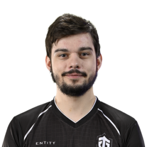 Gold Tobi Player Sticker - TI 2022