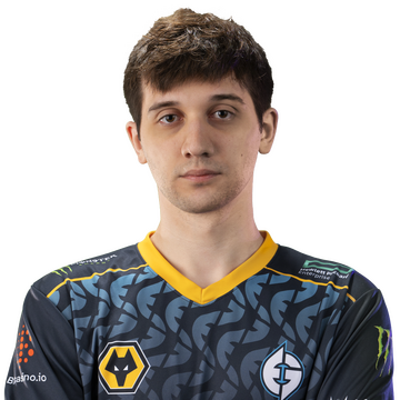 Gold 天鸽 Player Sticker - TI 2022