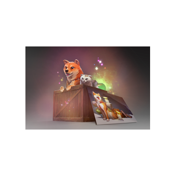 Hakobi and Tenneko Bundle