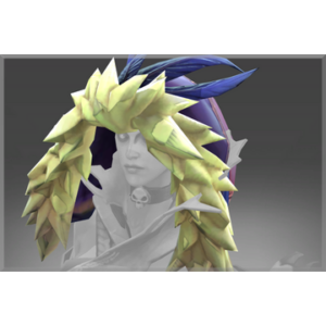 Unusual Hood of the Long Night