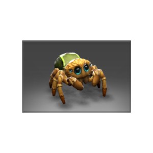 Unusual Itsy